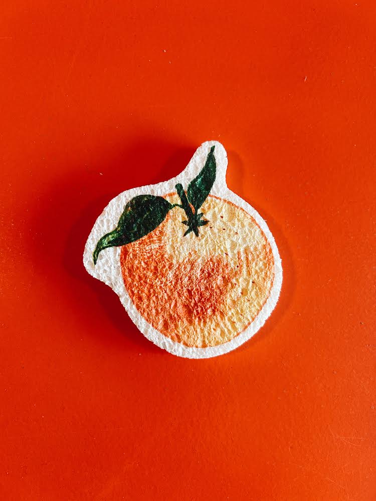 Fruit Compostable Sponges