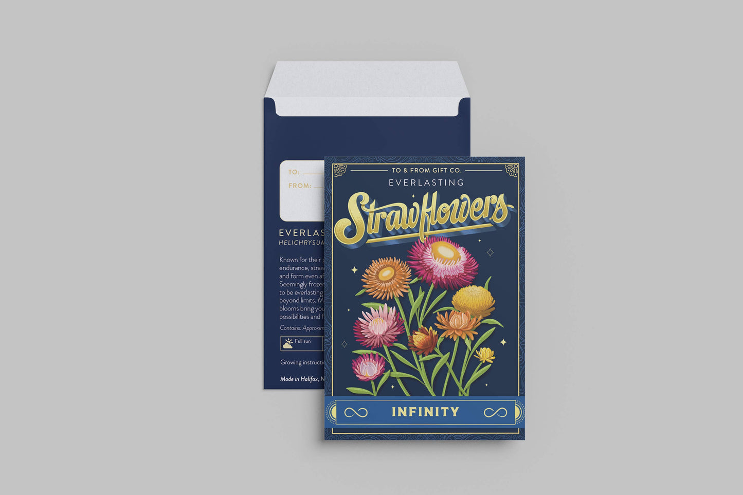 Strawflowers (Infinity) - Floriography Seed Packet