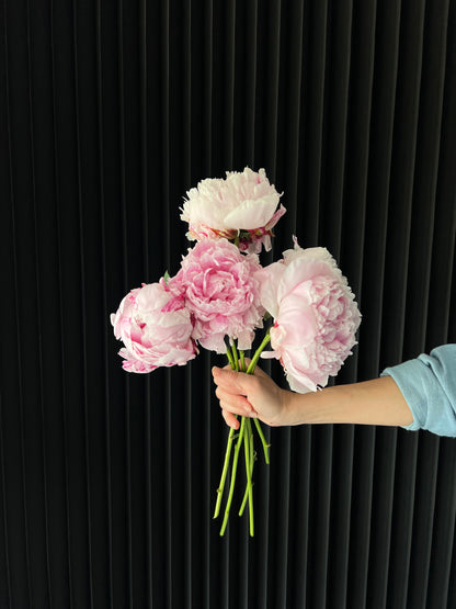 Peony Bunch