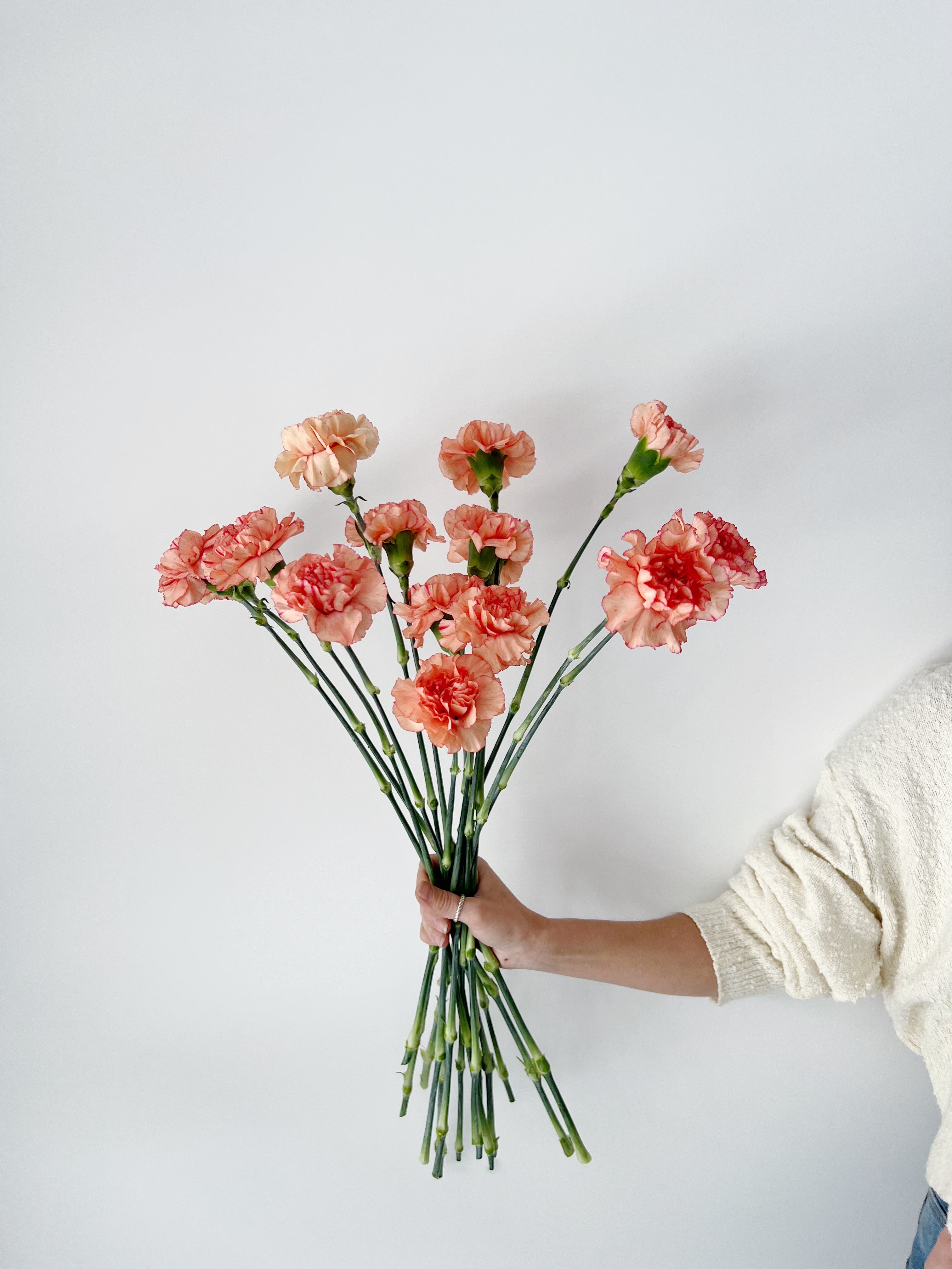 Sim Carnations FLEURESCENT