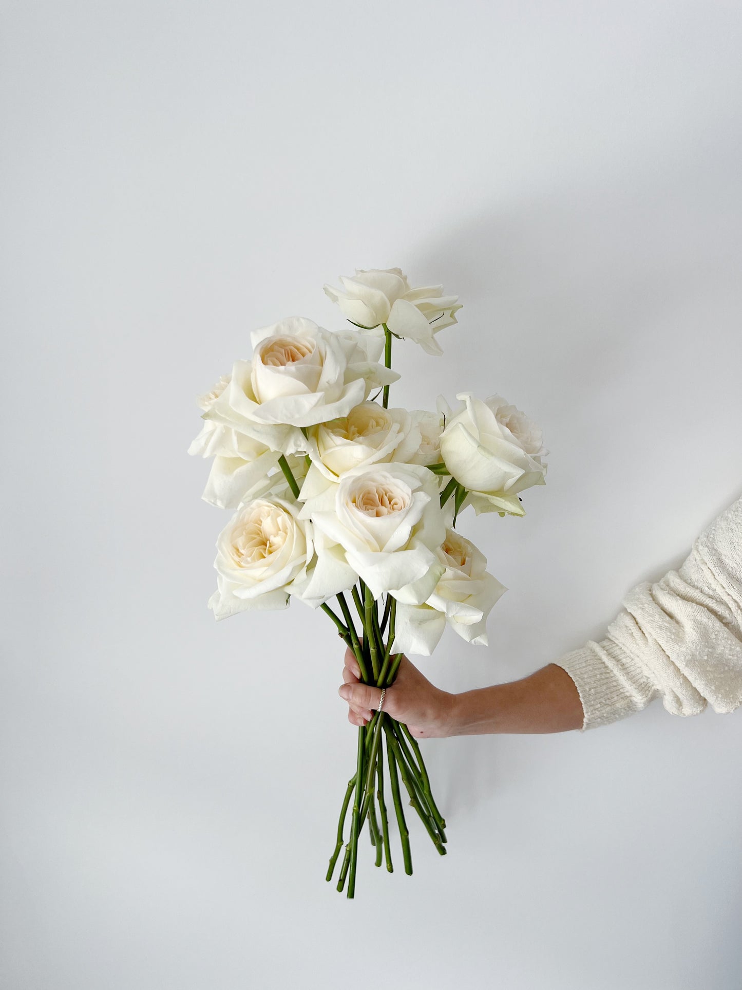 Signature Roses - Classic White Bunch